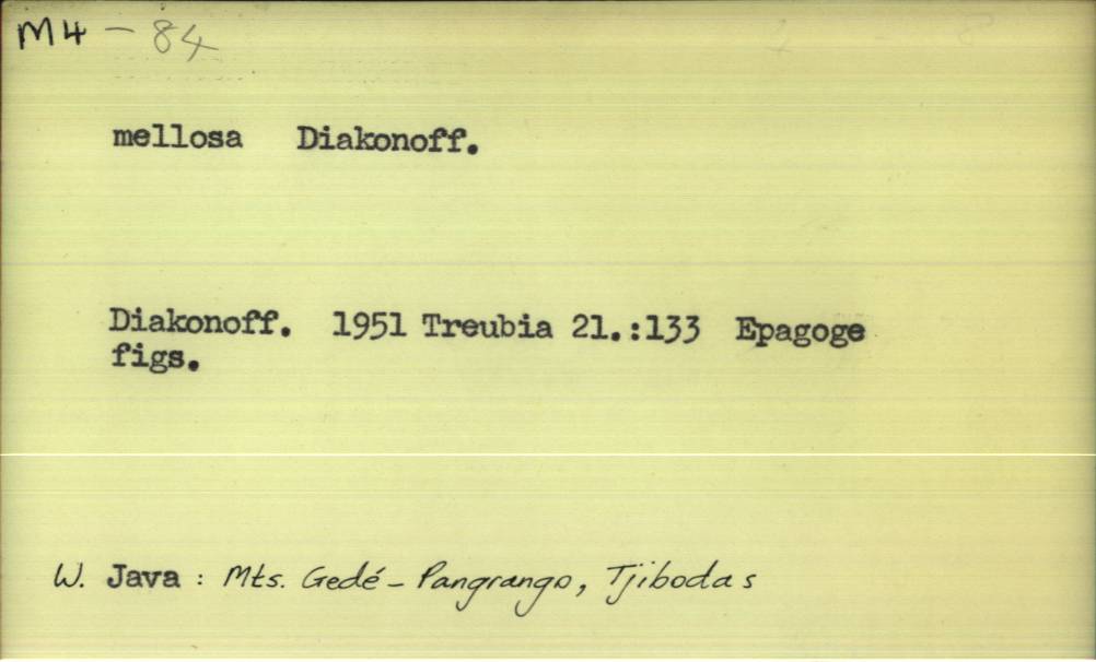front of card